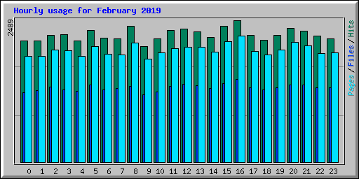 Hourly usage for February 2019