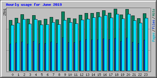 Hourly usage for June 2019
