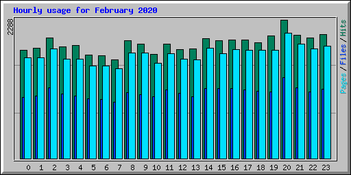 Hourly usage for February 2020