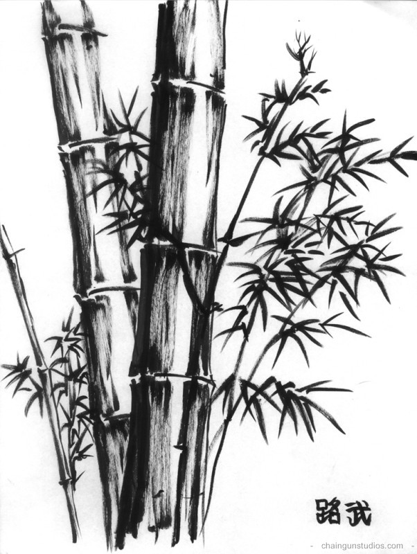 Bamboo